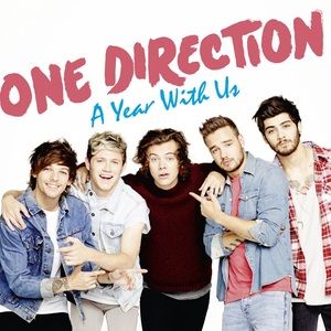 One Direction: A Year With Us (paperback)